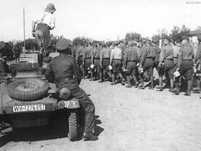 Kubelwagen WH-1276057