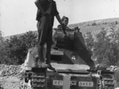 L6/40 Dalmatia 1943