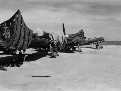 A6M5 Zero fighters found on Saipan 1944