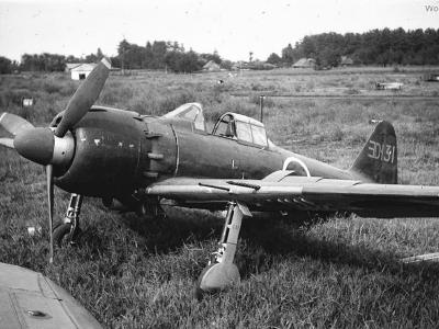 A6M7 ヨD131 of the 302 Kokutai