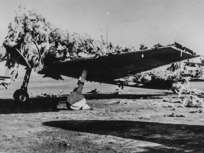 Camouflaged A6M5 found on Saipan 1944