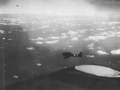 Aichi D3A1 EI-208 from Shokaku 8 May 1942