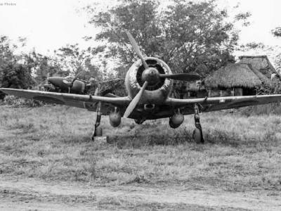 Nakajima Ki-44 of the IIb 22 Sentai Clark Field February 1945