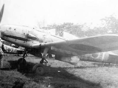Ki-61 Hien (Tony) of the 19th Sentai Philippines 1945