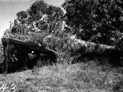 Nakajima Ki-84