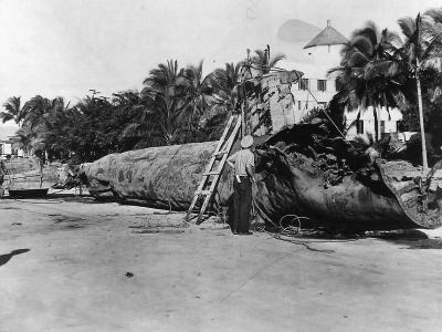 Wreckage of Japanese 2 man Type A Kō-hyōteki-class submarine which was rammed by destroyer USS Monaghan