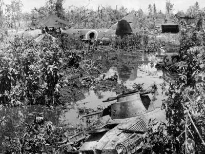Mitsubishi G4M Betty and Type 95 Ha Go Light Tank wrecks