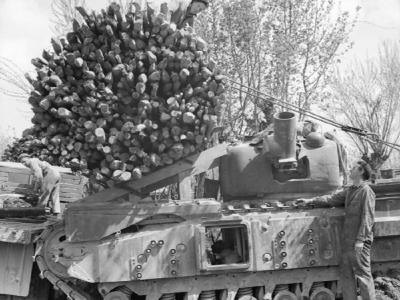 Churchill AVRE applique armour