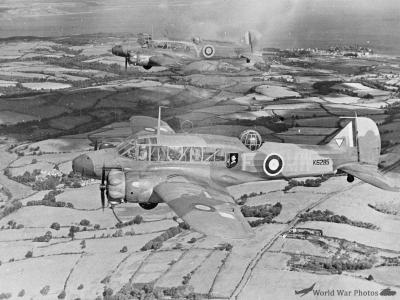 Anson 321