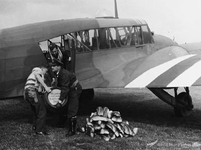 Anson Normandy