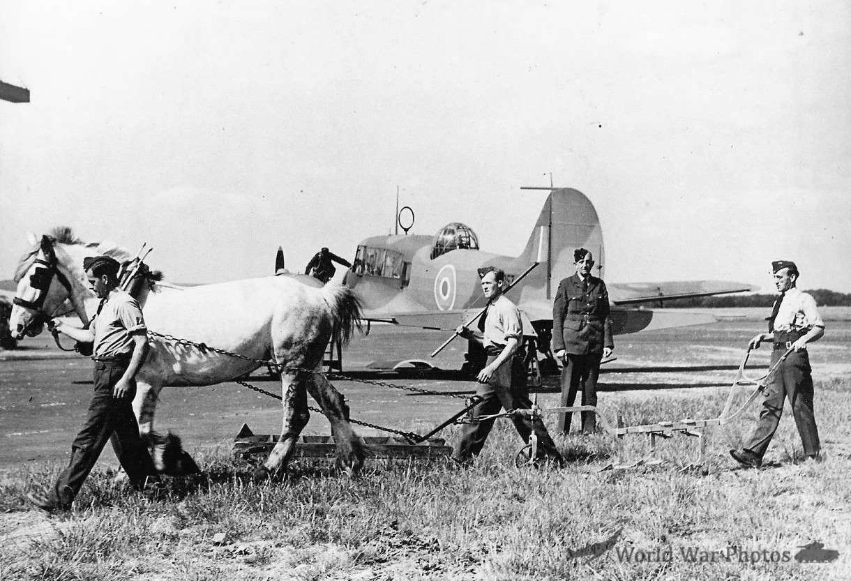 Anson june42