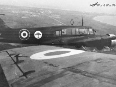 French Anson
