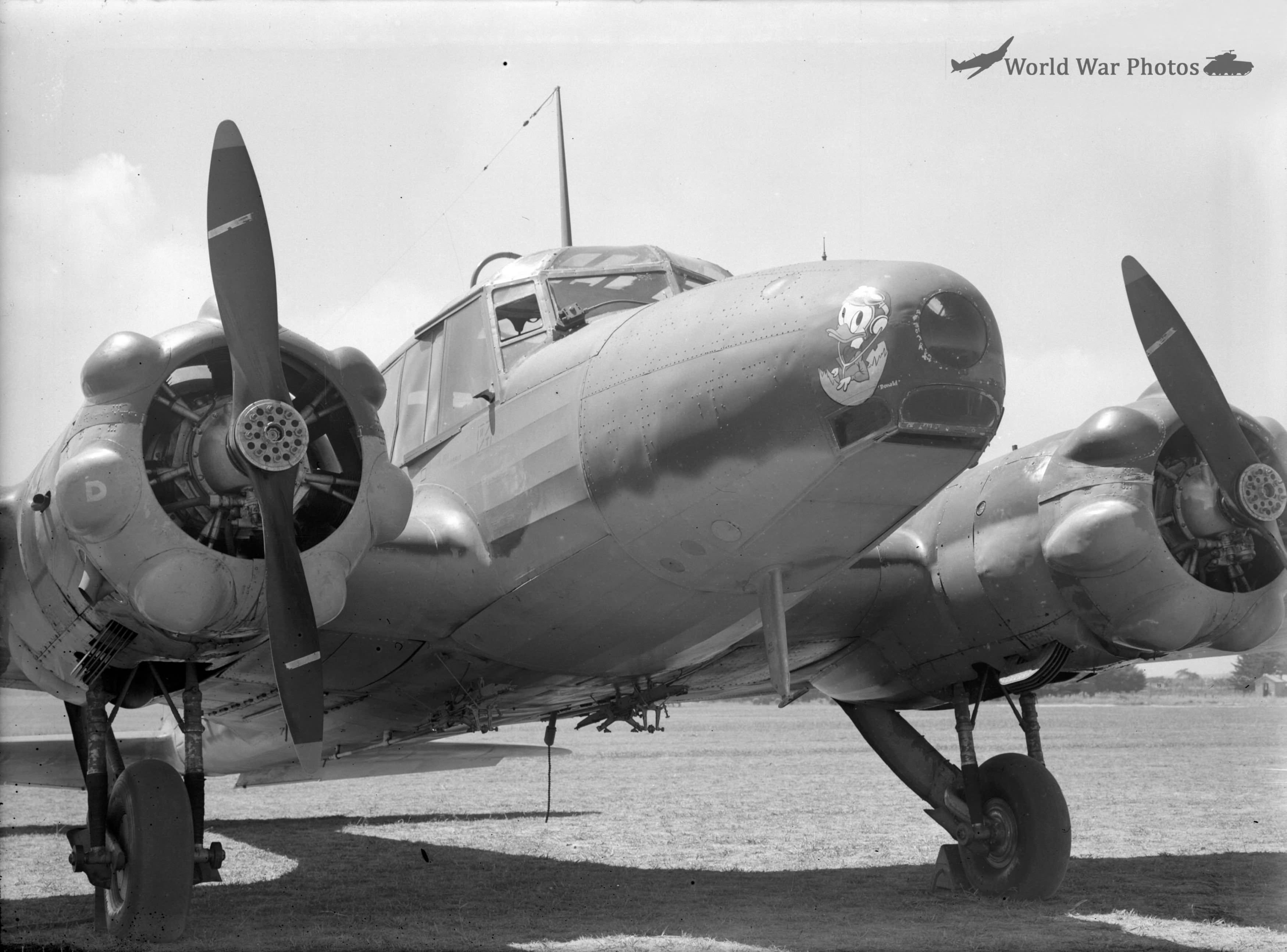 RNZAF Anson D