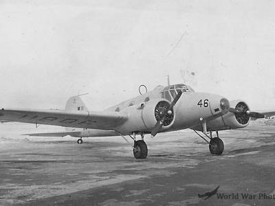 Anson