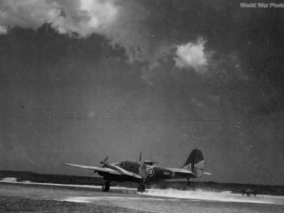 Martin Baltimore Sicily