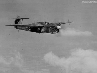 Barracuda 2