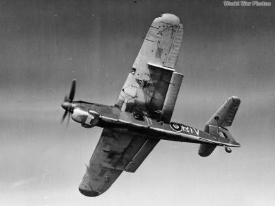 Barracuda II 814 Squadron