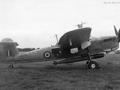 Barracuda II LS789