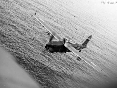 Barracuda N6B