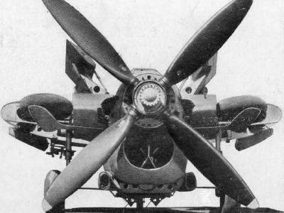 Barracuda folded