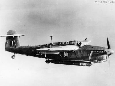 Barracuda torpedo