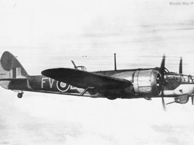 Blenheim 13OTU