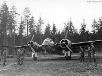Blenheim part 1