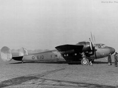Flamingo E10 2