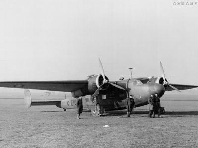 Flamingo E10