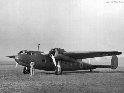 Flamingo E1