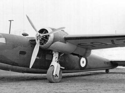 Flamingo R2765
