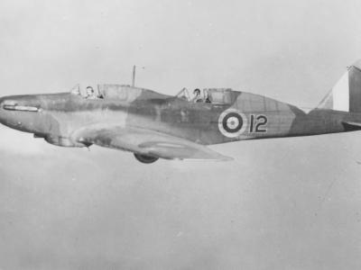 Battle Trainer R7365