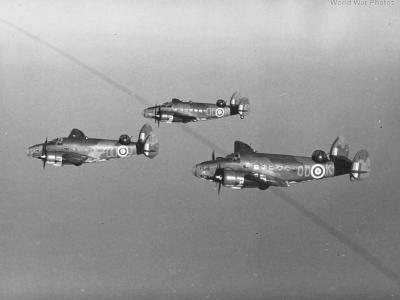 Hudson 48Sqn