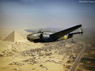 Hudson in flight over pyramids