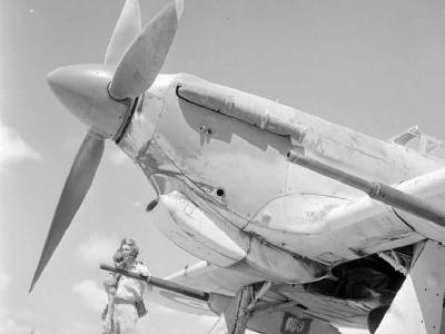 A pilot of No 6 Squadron RAF stands by his Hurricane Mk IID