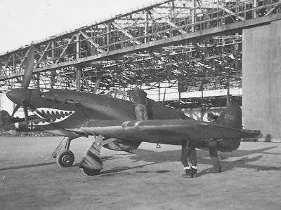 U.S. Hurricane Mk II Trop BP654, MTO 1943/44