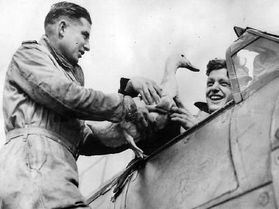 Hurricane of No 249 Squadron RAF pilots with mascot duck Wilfred 1941