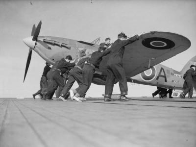 Hawker Sea Hurricane AF953