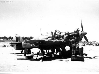 Hurricanes 260 Squadron El Ballah 1942