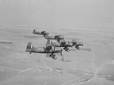 Lysanders of No. 225 Squadron RAF in flight