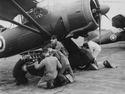 Lysander 1940 3