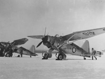 Westland Lysander 416