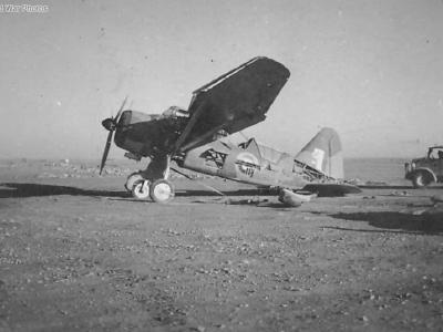 Lysander Africa 2