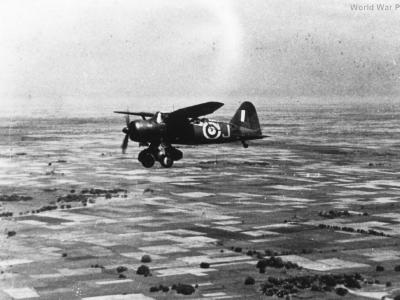 Westland Lysander II BF-K 28