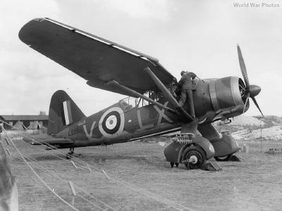 Westland Lysander Mk II L6856