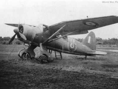Westland Lysander India