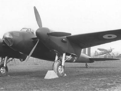 Mosquito E0234