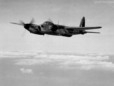 Mosquito W4051 2