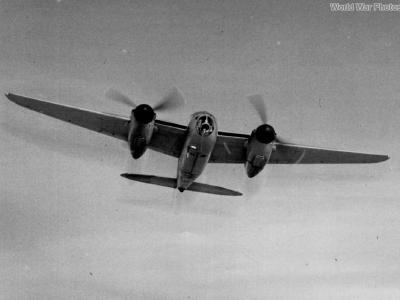 Mosquito W4051