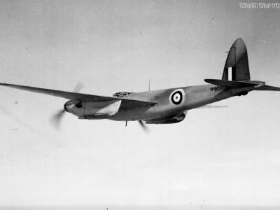 Mosquito W4051